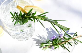 レモングラス（Lemongrass）