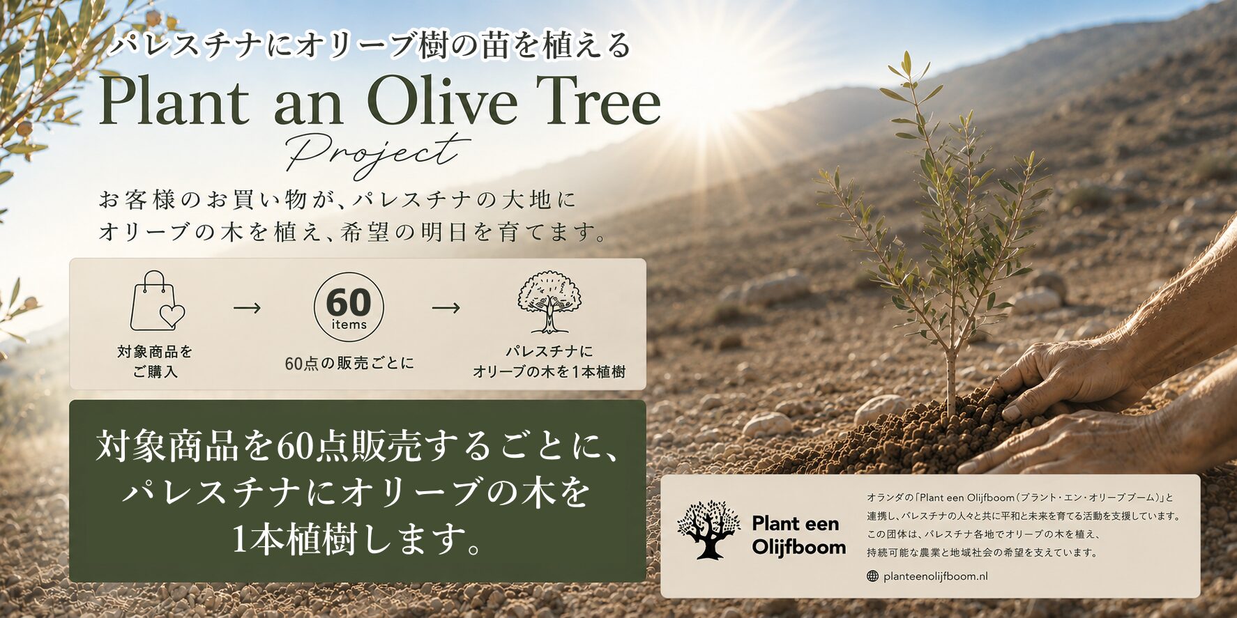 Plant an Olive Tree - パレスチナに木を植える