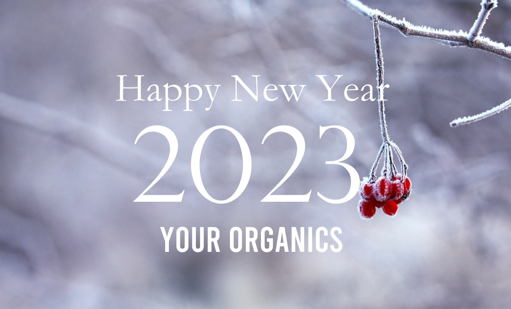 HAPPY NEW YEAR 2023 - YOUR ORGANICS 年末年始休業のお知らせ