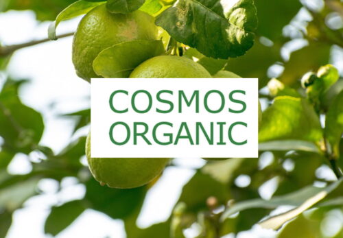COSMOSとは？オーガニック化粧品認証をわかりやすく解説